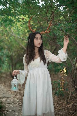 中文在线字幕电视剧全集高清