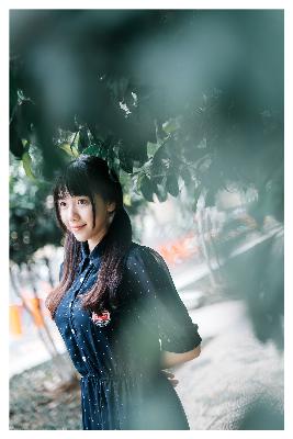 漂白电视剧免费观看全集完整版高清飘雪