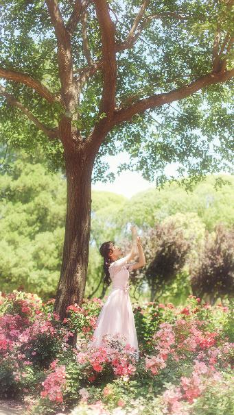 生逢灿烂的日子电视剧免费观看