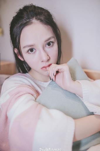 仙台有树电视剧免费观看全集高清完整版