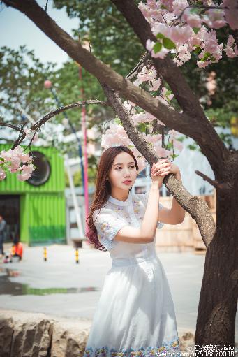 丁香花国语版高清