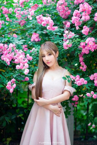 2025正版资料大全免费